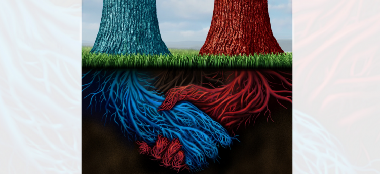 Regulación de monopolios y control de ganancia. Necesaria y justificada