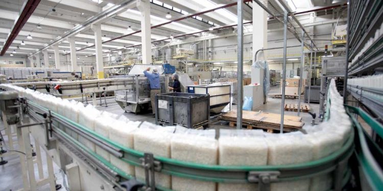 Los costos del país obligan a exportar cada vez más arroz sin industrializar