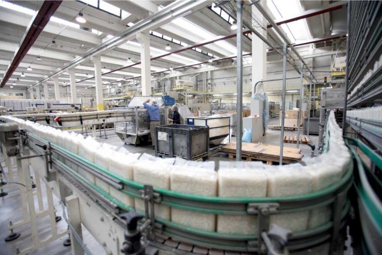 Los costos del país obligan a exportar cada vez más arroz sin industrializar