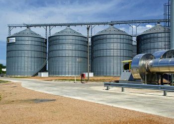 Las deudas del grupo Petrópolis y el futuro de Maltería Oriental