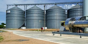 Las deudas del grupo Petrópolis y el futuro de Maltería Oriental