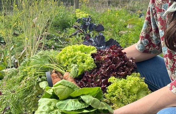 La agroecología es un “movimiento social” en constante expansión