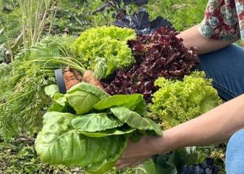 La agroecología es un “movimiento social” en constante expansión