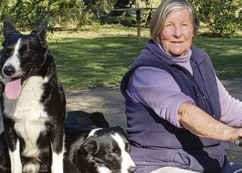 Sociedad de Criadores de Border Collie