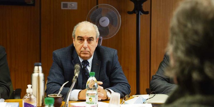 “Estamos con mucho riesgo de tener un sobreendeudamiento agropecuario como sucedió en los años 2000”