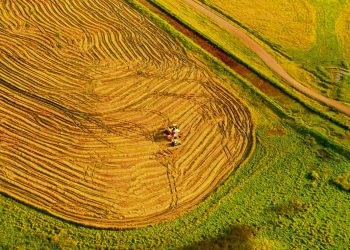 Los departamentos del este se profesionalizan en la producción, pero falta corregir los altos costos de los fletes y en la industria