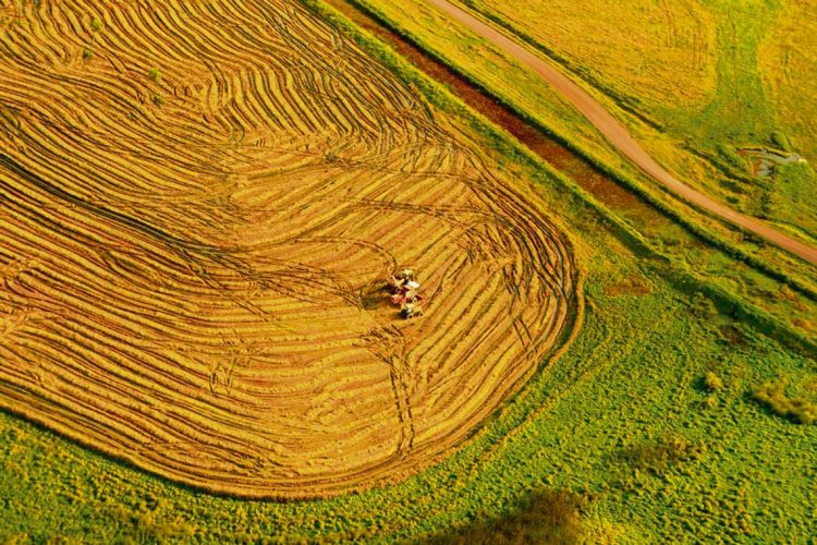 Los departamentos del este se profesionalizan en la producción, pero falta corregir los altos costos de los fletes y en la industria