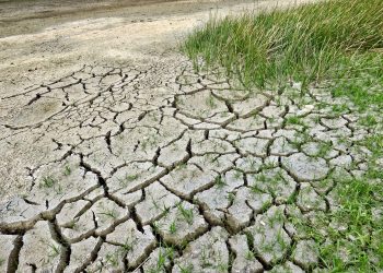 Mi opinión sobre la sequía