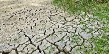 Mi opinión sobre la sequía