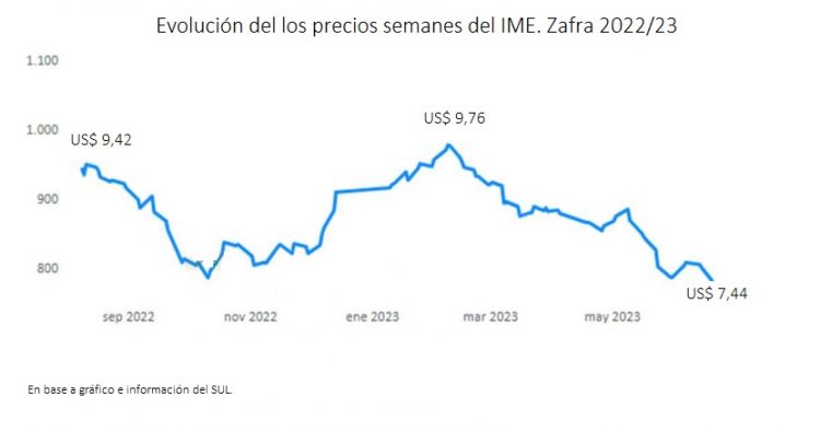 El 79% de los productores de lana no han tenido ventas durante la zafra que finaliza