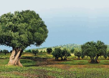 La antigua Grecia y las raíces agrarias de la civilización occidental
