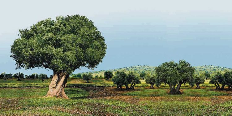 La antigua Grecia y las raíces agrarias de la civilización occidental