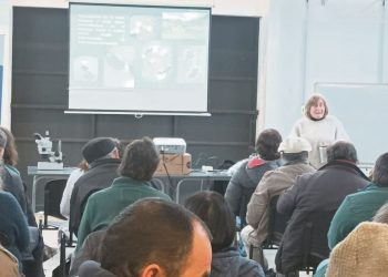 El país se encamina hacia una solución alternativa para eliminar la garrapata del rodeo nacional