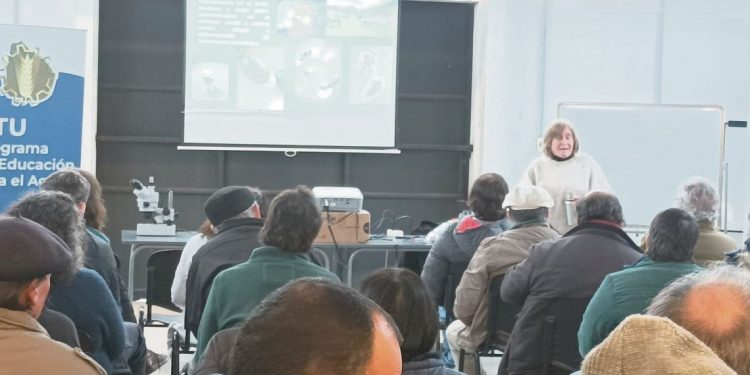 El país se encamina hacia una solución alternativa para eliminar la garrapata del rodeo nacional