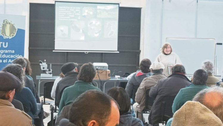 El país se encamina hacia una solución alternativa para eliminar la garrapata del rodeo nacional