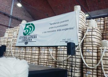 Central Lanera Uruguaya a concurso de acreedores