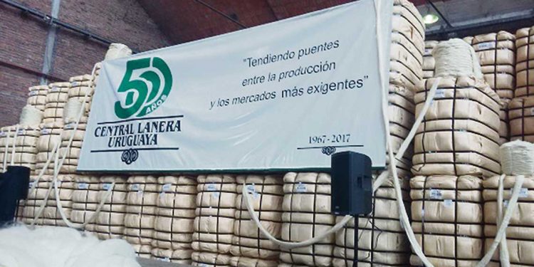 Central Lanera Uruguaya a concurso de acreedores
