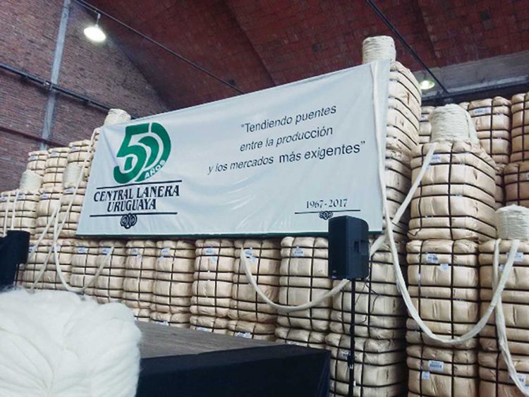 Central Lanera Uruguaya a concurso de acreedores