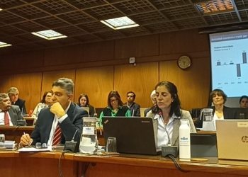 Equipo económico en Diputados: En el agro, el déficit hídrico tuvo un impacto total de US$ 1.809 millones