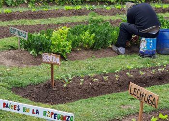 Cuatro décadas de llevar un mensaje de esperanza y lograr la rehabilitación de adictos
