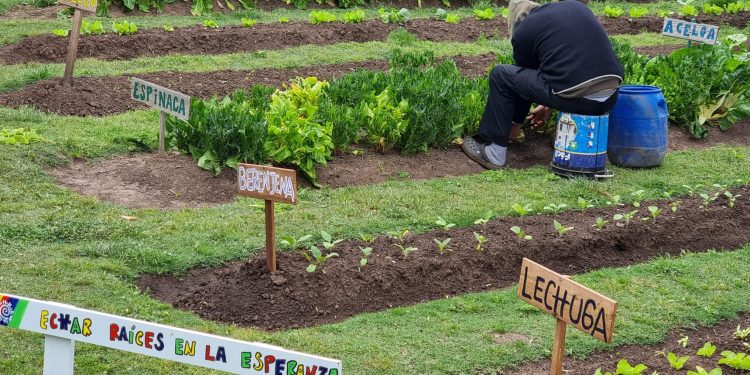 Cuatro décadas de llevar un mensaje de esperanza y lograr la rehabilitación de adictos