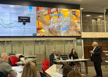 La gripe aviar no afecta el crecimiento avícola en Argentina