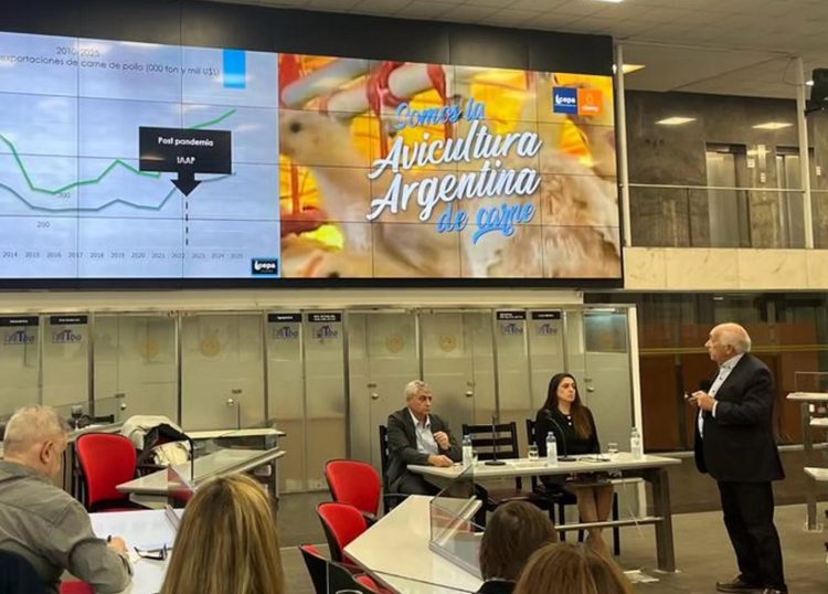 La gripe aviar no afecta el crecimiento avícola en Argentina