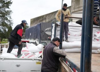 Continúa la entrega de ración a pequeños productores ganaderos
