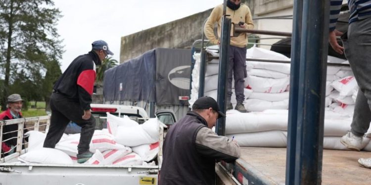 Continúa la entrega de ración a pequeños productores ganaderos