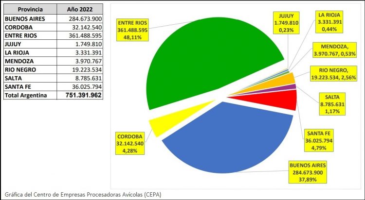 La gripe aviar no afecta el crecimiento avícola en Argentina
