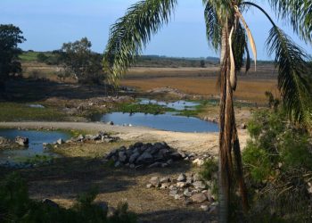 25 de Mayo: un pueblo que aún sueña con su parque sobre el Lago Paso Severino