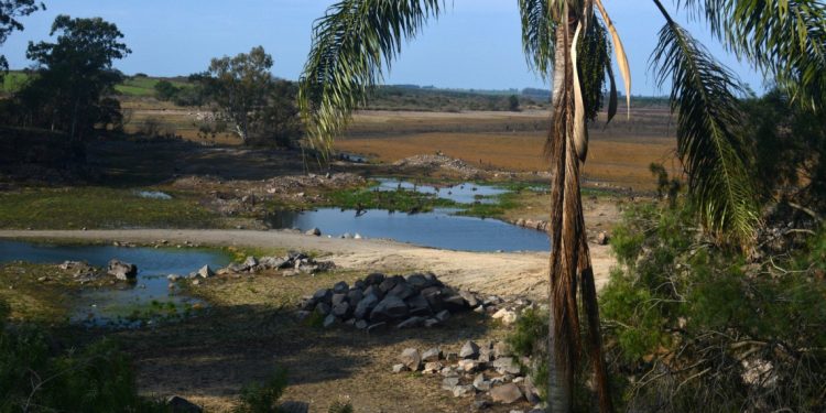 25 de Mayo: un pueblo que aún sueña con su parque sobre el Lago Paso Severino