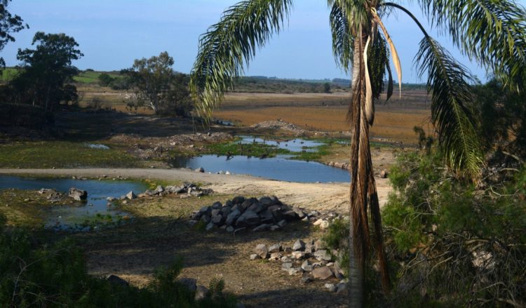 25 de Mayo: un pueblo que aún sueña con su parque sobre el Lago Paso Severino