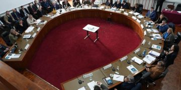 Directora de INBA dijo que se debe “dar respuesta a la sobrepoblación canina”