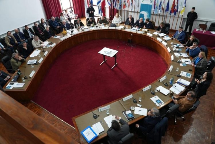 Directora de INBA dijo que se debe “dar respuesta a la sobrepoblación canina”