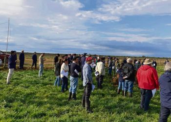 Integración agricultura – ganadería, manteniendo la sustentabilidad