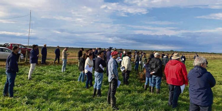 Integración agricultura – ganadería, manteniendo la sustentabilidad