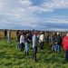 Integración agricultura – ganadería, manteniendo la sustentabilidad