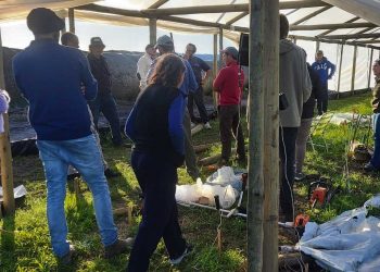 Cooperativas rurales de Colonia: un ejemplo de trabajo conjunto que solo genera beneficios