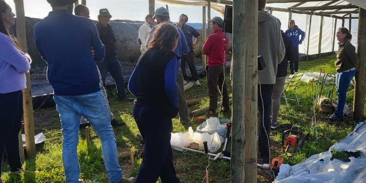 Cooperativas rurales de Colonia: un ejemplo de trabajo conjunto que solo genera beneficios