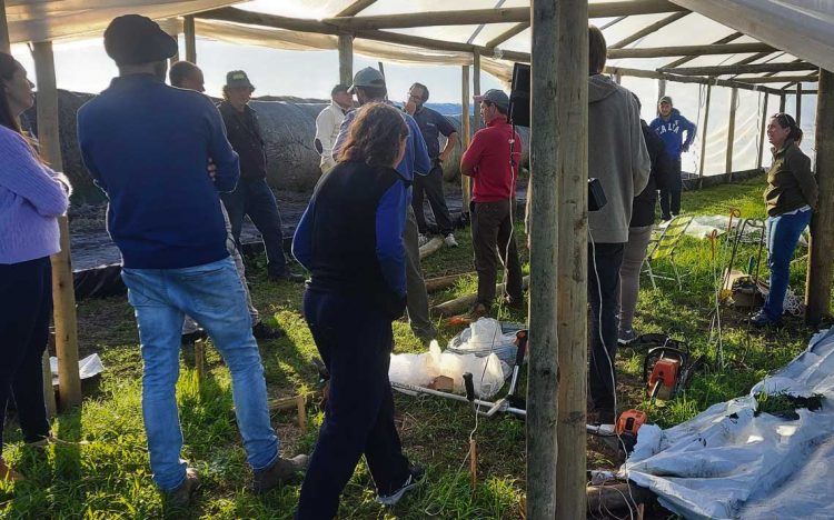 Cooperativas rurales de Colonia: un ejemplo de trabajo conjunto que solo genera beneficios