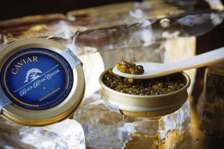 El caviar uruguayo se ganó un lugar importante en mercados más exigentes del mundo