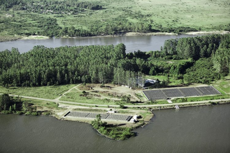 El caviar uruguayo se ganó un lugar importante en mercados más exigentes del mundo