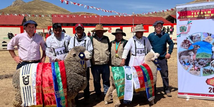 Jurado uruguayo destaca el buen performance de la Corriedale en Perú
