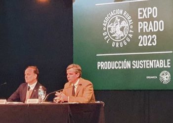 Patricio Cortabarría: “La Expo Prado es un viaje al interior del Uruguay”