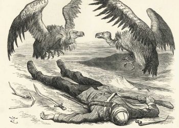 En el lado oscuro del Ecuador