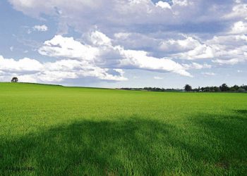 Proyecto para que colonos puedan comprar predios con crédito hipotecario