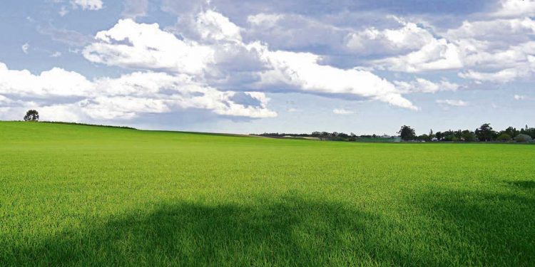 Proyecto para que colonos puedan comprar predios con crédito hipotecario