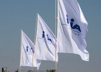 INIA reclama apoyo “para no herir la investigación agropecuaria nacional”