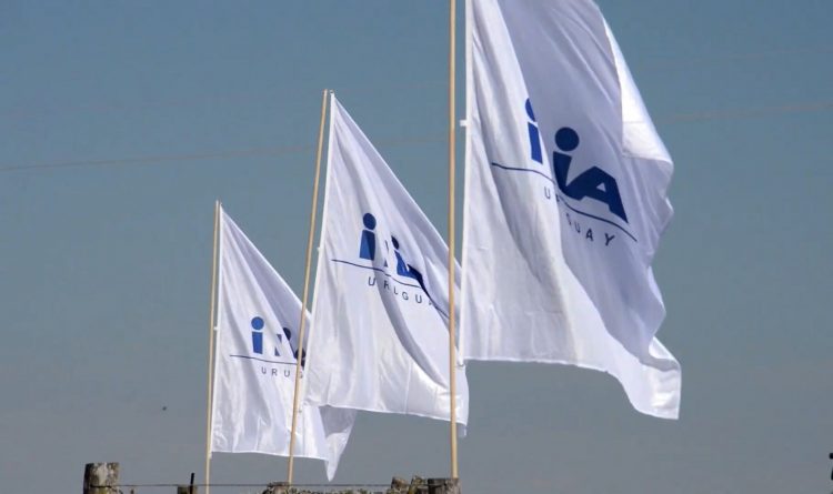 INIA reclama apoyo “para no herir la investigación agropecuaria nacional”